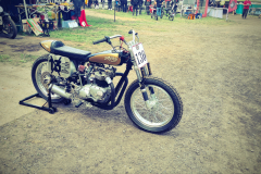 WL2021_11