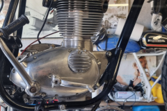 BSA-18