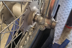 BSA-5
